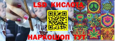 гидра Анжеро-Судженск