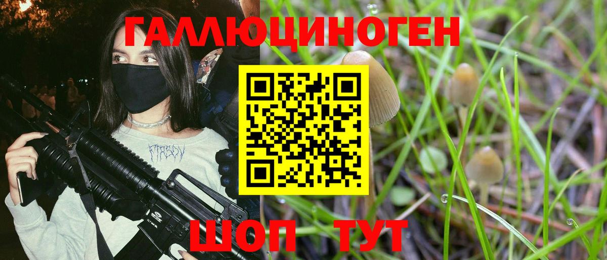 Псилоцибиновые грибы Psilocybine cubensis  Псилоцибиновые грибы Psilocybine cubensis  Вход с VPN  Аргун 