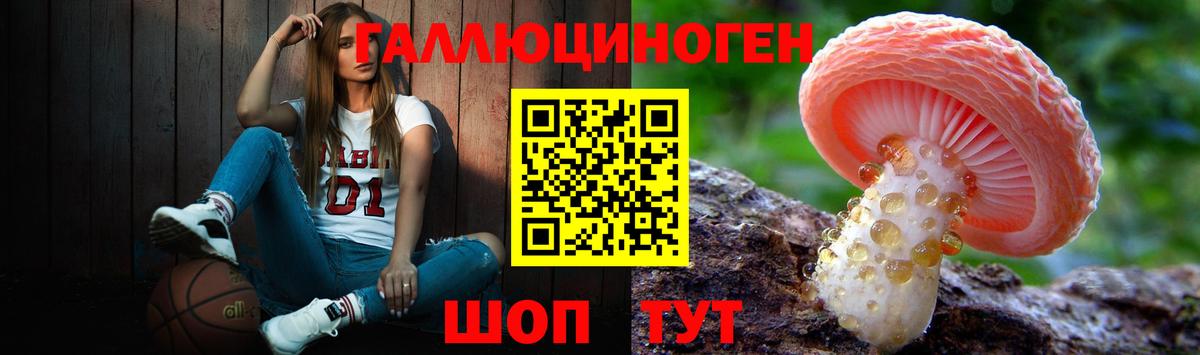 Галлюциногенные грибы мухоморы Аргун